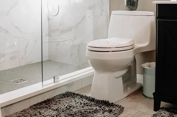 Ansonia-Connecticut-clogged-toilet-repair