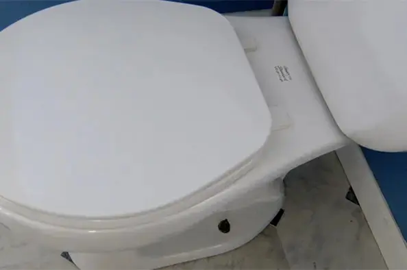 Hernando-Mississippi-unclog-toilet