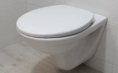 Clear Toilet 101: Everything You Need To Know