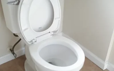 Plunging A Toilet: The Complete Guide
