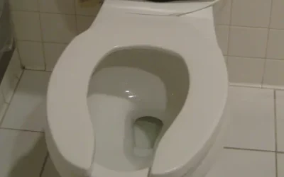 Why is my toilet still clogged even after I use the plunger?